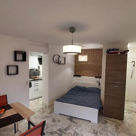 F1 Avec Jardin, Proche Du Palais Des Festivals Et Des Plages * Cannes