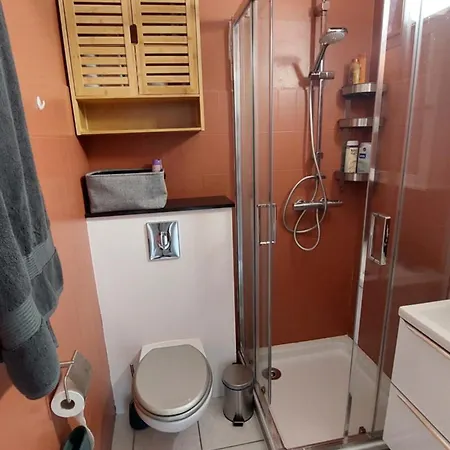 F1 Avec Jardin, Proche Du Palais Des Festivals Et Des Plages * Cannes