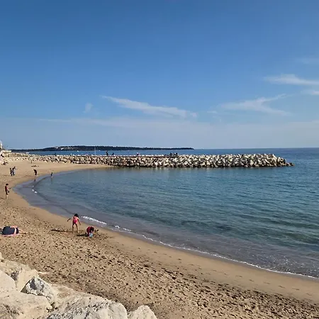 Daire F1 Avec Jardin, Proche Du Palais Des Festivals Et Des Plages *